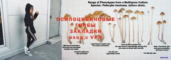 таблы Зерноград