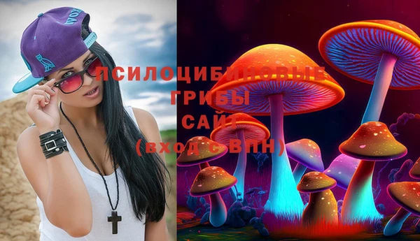 соль курить ск Зеленодольск
