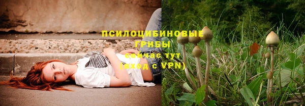 соль курить ск Зеленодольск
