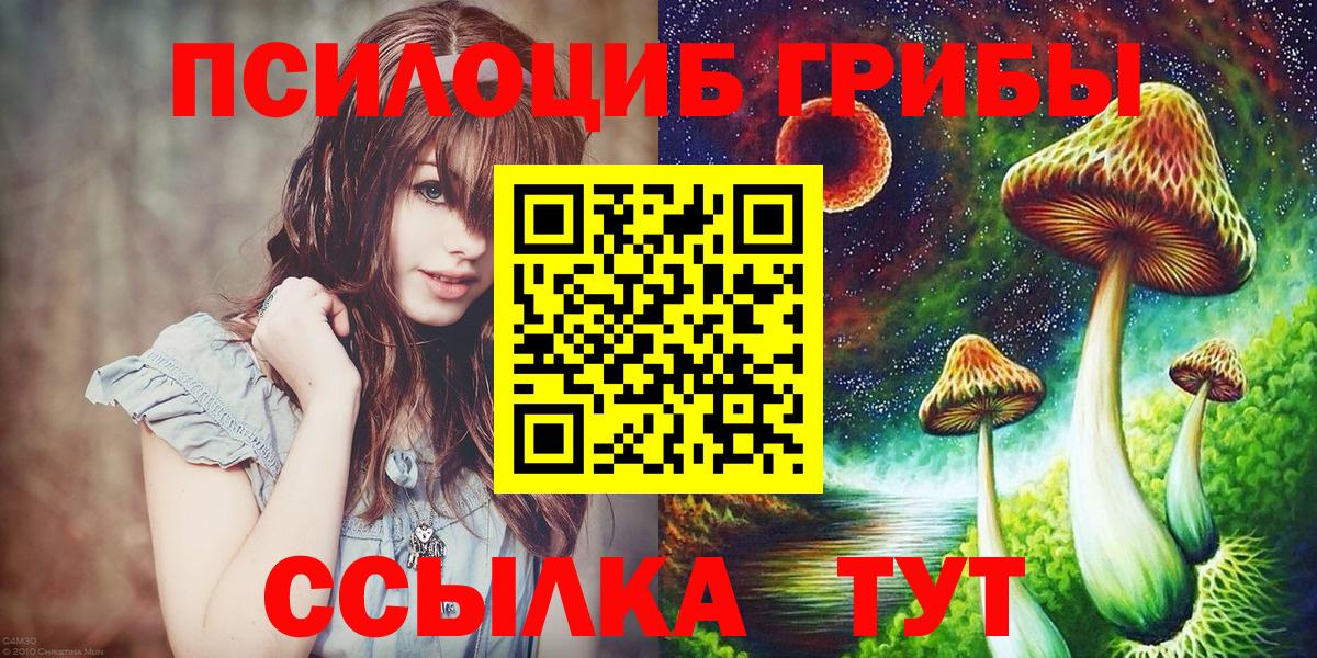 Канск  купить  сайты  Вход с VPN  Галлюциногенные грибы Psilocybe  Псилоцибиновые грибы Magic Shrooms 