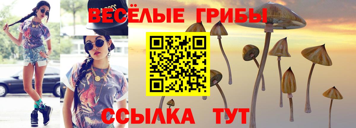 Псилоцибиновые грибы MAGIC MUSHROOMS Канск